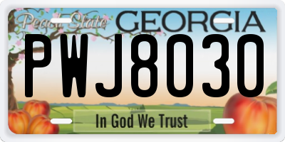 GA license plate PWJ8030