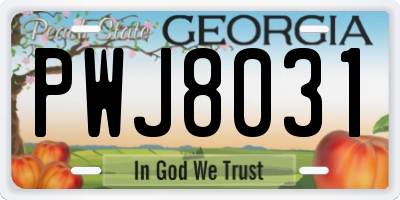 GA license plate PWJ8031