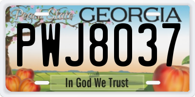 GA license plate PWJ8037