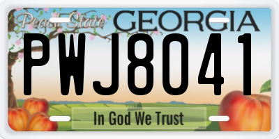 GA license plate PWJ8041
