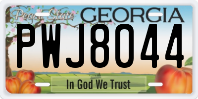 GA license plate PWJ8044