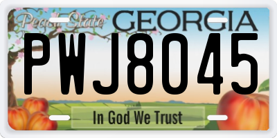 GA license plate PWJ8045