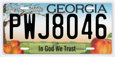 GA license plate PWJ8046