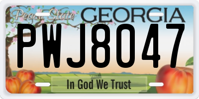 GA license plate PWJ8047