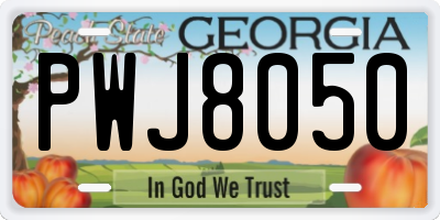 GA license plate PWJ8050