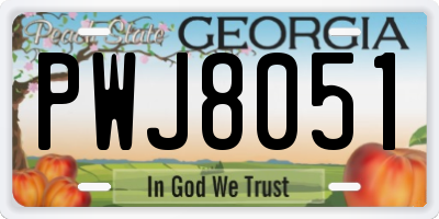 GA license plate PWJ8051