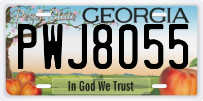 GA license plate PWJ8055