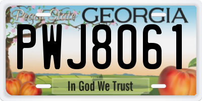 GA license plate PWJ8061