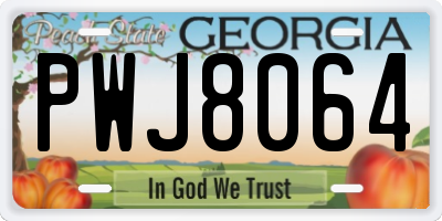 GA license plate PWJ8064