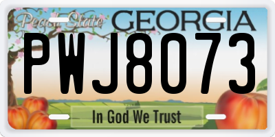 GA license plate PWJ8073