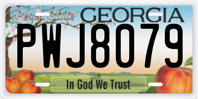 GA license plate PWJ8079