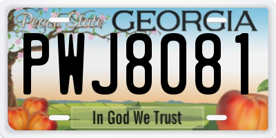 GA license plate PWJ8081