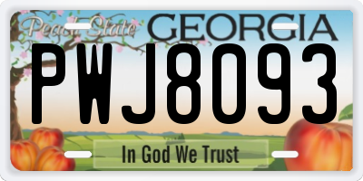 GA license plate PWJ8093