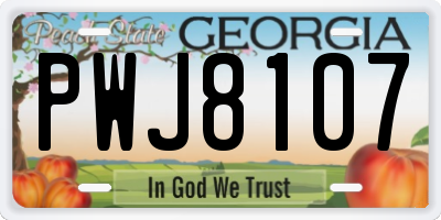 GA license plate PWJ8107