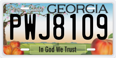 GA license plate PWJ8109