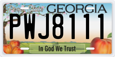 GA license plate PWJ8111