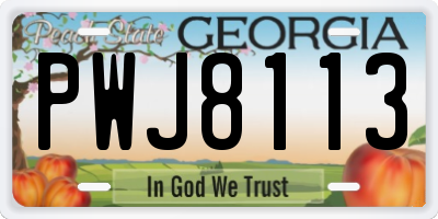 GA license plate PWJ8113