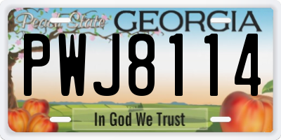GA license plate PWJ8114