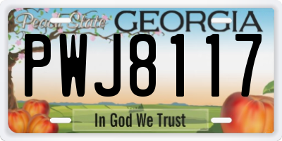 GA license plate PWJ8117