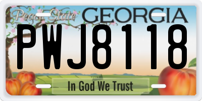 GA license plate PWJ8118