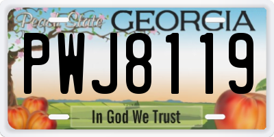 GA license plate PWJ8119