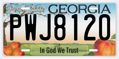 GA license plate PWJ8120