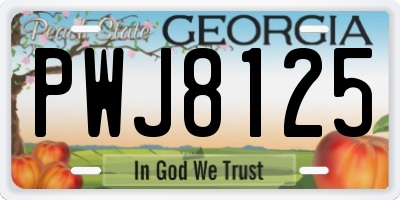 GA license plate PWJ8125