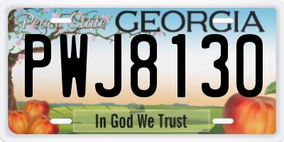 GA license plate PWJ8130