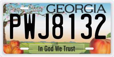 GA license plate PWJ8132