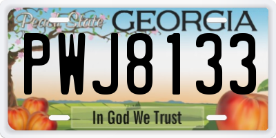 GA license plate PWJ8133