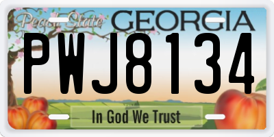 GA license plate PWJ8134