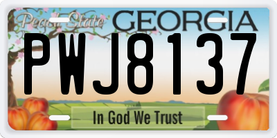 GA license plate PWJ8137