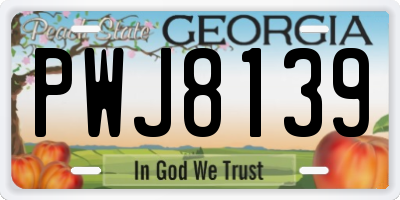 GA license plate PWJ8139