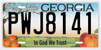 GA license plate PWJ8141