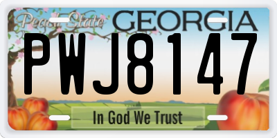 GA license plate PWJ8147