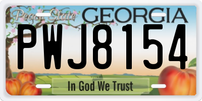 GA license plate PWJ8154