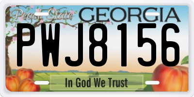 GA license plate PWJ8156