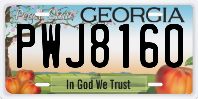 GA license plate PWJ8160