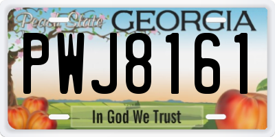 GA license plate PWJ8161