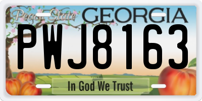 GA license plate PWJ8163