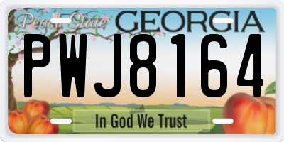 GA license plate PWJ8164