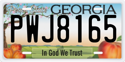 GA license plate PWJ8165