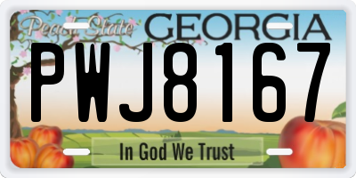 GA license plate PWJ8167