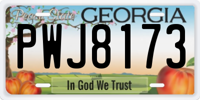 GA license plate PWJ8173