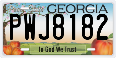 GA license plate PWJ8182