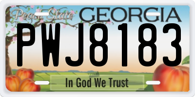 GA license plate PWJ8183