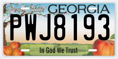 GA license plate PWJ8193