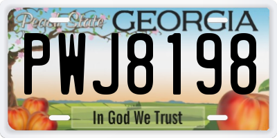 GA license plate PWJ8198