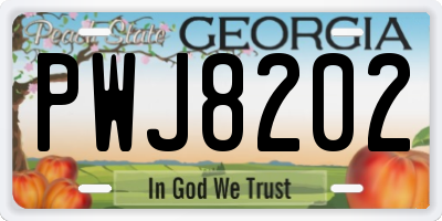 GA license plate PWJ8202