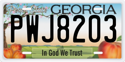 GA license plate PWJ8203